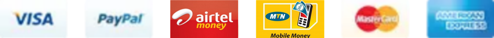 Payment logo